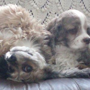 Meet your Posher, Linda